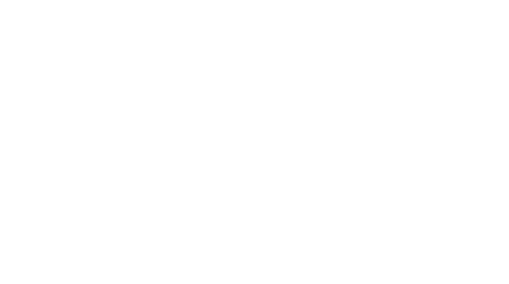 Dragon Motel